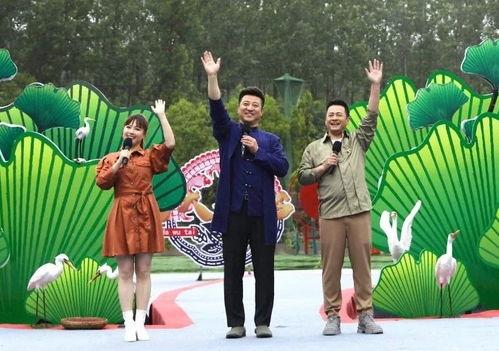 大蓝最新爆料新闻视频下载,最新爆料新闻视频深度解析