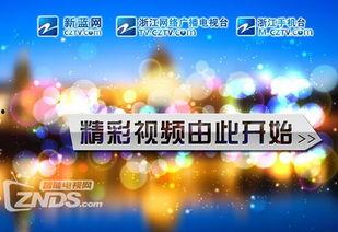 浙江卫视的爆料视频大全,精彩瞬间回顾